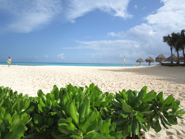b0173754_1446164.jpg