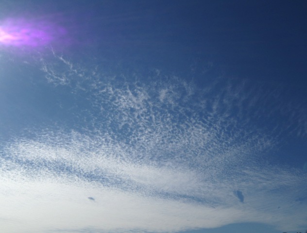 b0173754_1603774.jpg