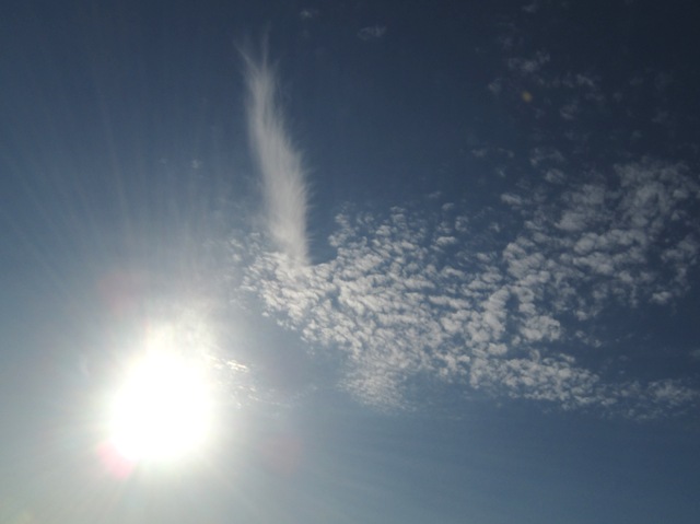 b0173754_1682243.jpg