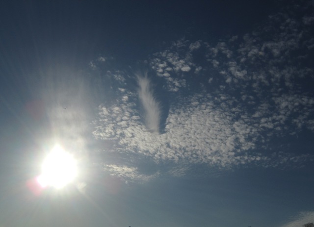 b0173754_168611.jpg