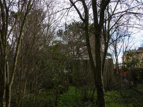 e0116960_21551161.jpg