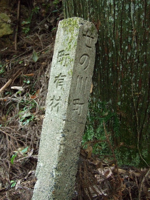 b0095061_014045.jpg