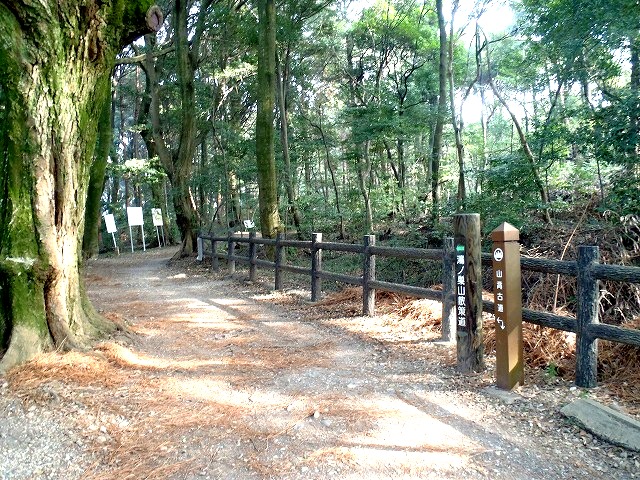 b0044663_2112211.jpg