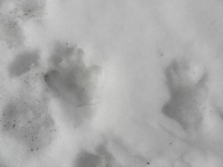 d0134473_15193565.jpg