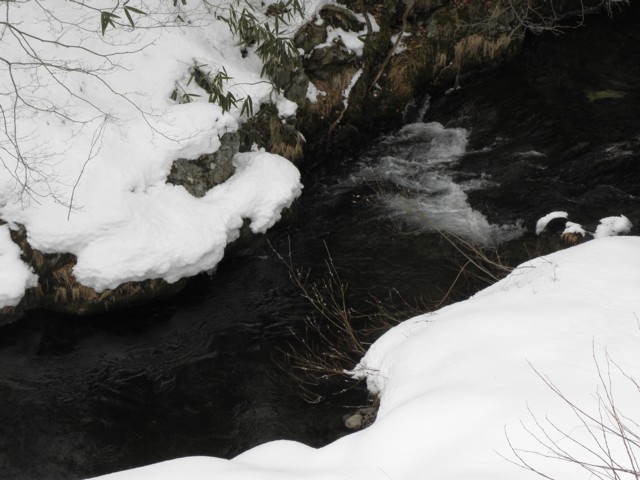 d0134473_15291961.jpg