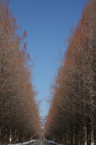 c0196076_2247878.jpg