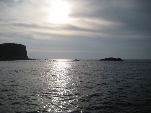 d0174683_2383987.jpg