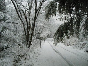 f0008692_8274977.jpg