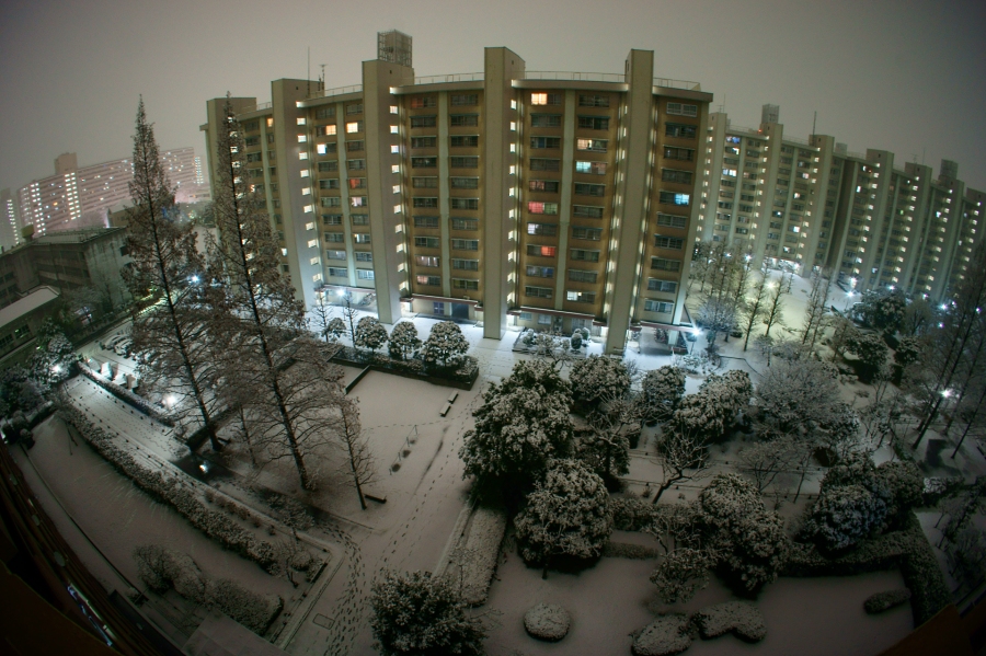 a0185693_19455865.jpg