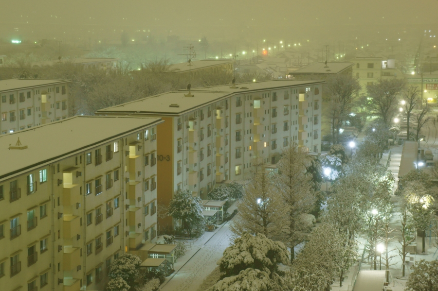 a0185693_1948242.jpg