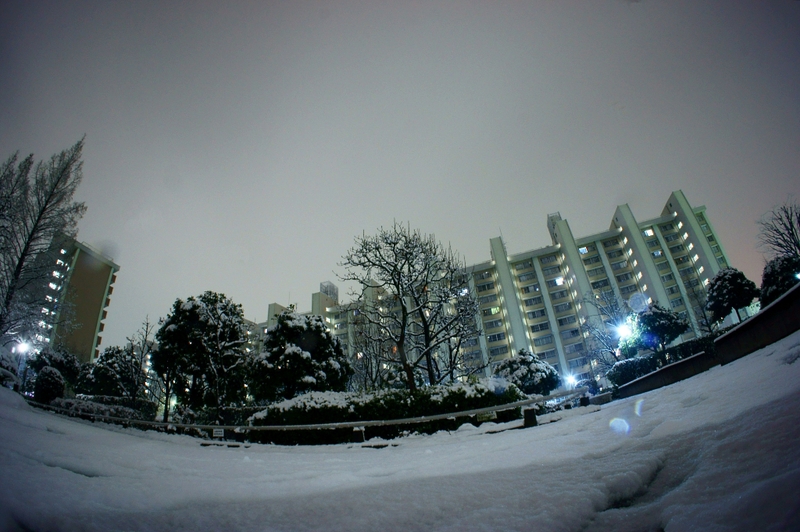 a0185693_19493283.jpg