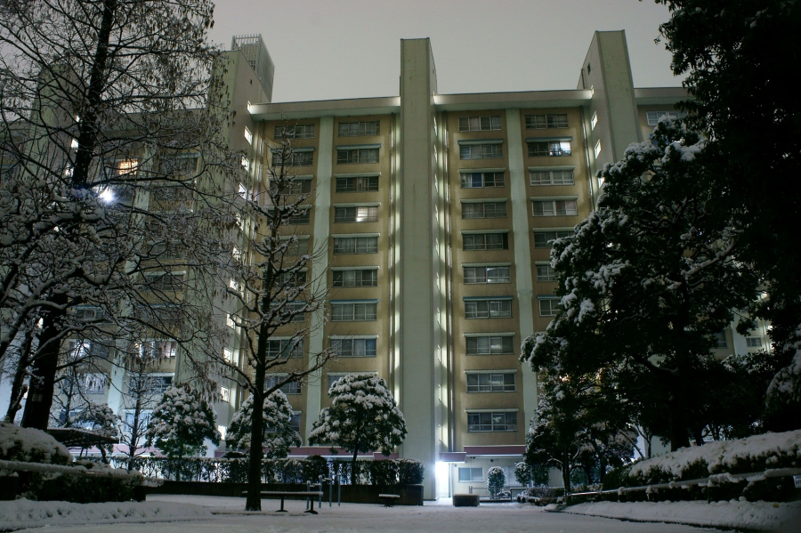 a0185693_19523578.jpg