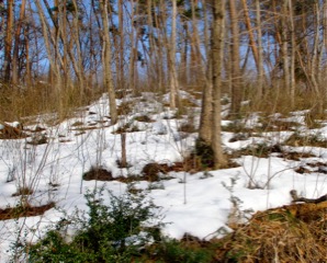c0151898_1622462.jpg