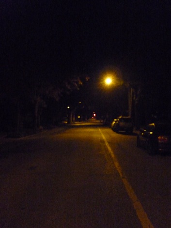 d0035199_1724272.jpg