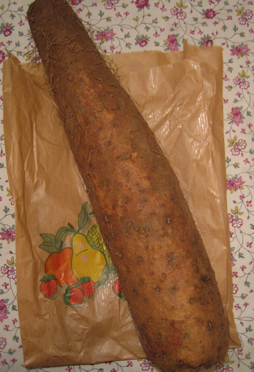 d0135907_2243598.jpg