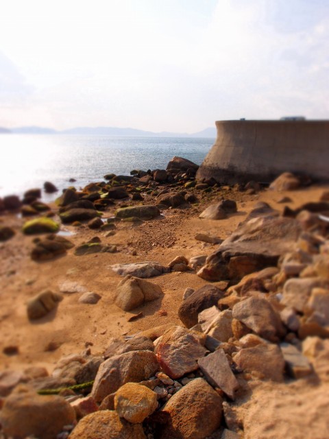 e0074308_224823.jpg