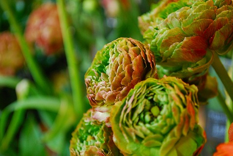 e0128909_20121233.jpg