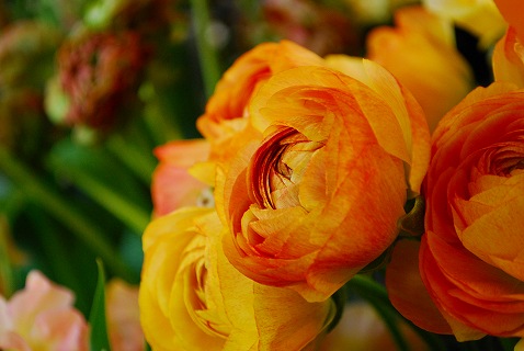 e0128909_2017015.jpg