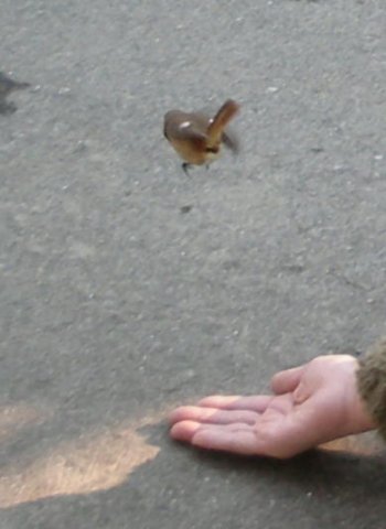 c0190010_21103832.jpg