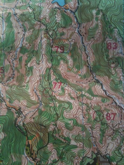 b0183911_12354429.jpg