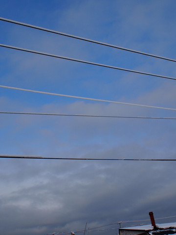 a0114514_20121256.jpg