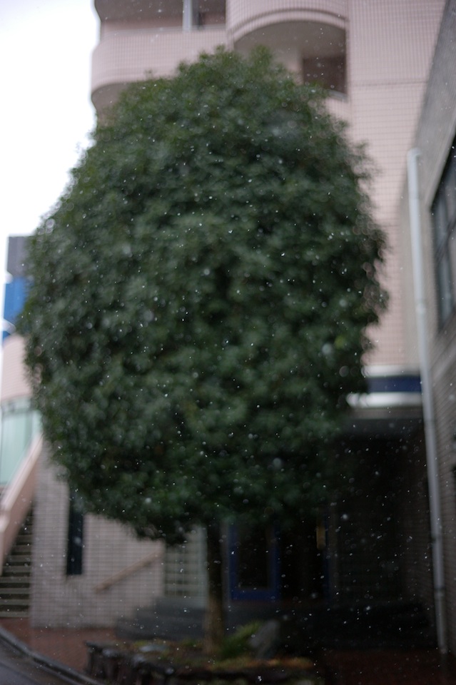 f0056516_257564.jpg