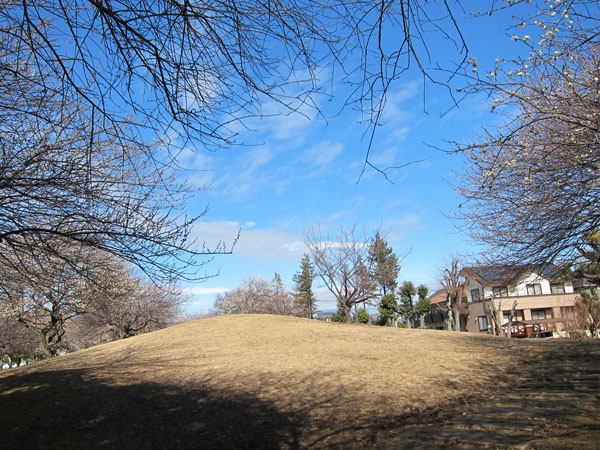 f0147025_13475345.jpg