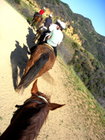 c0148627_1742207.jpg