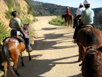 c0148627_17423830.jpg