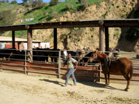 c0148627_174241.jpg