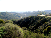 c0148627_17432388.jpg