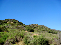c0148627_17435135.jpg