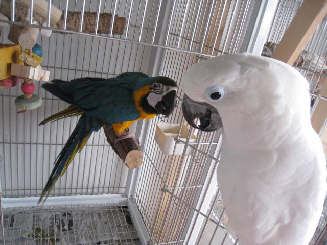 e0107730_09452.jpg