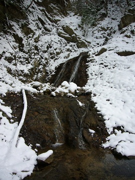 d0075131_2324230.jpg