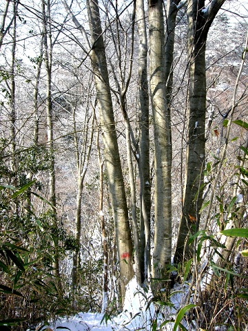 d0075131_2364498.jpg