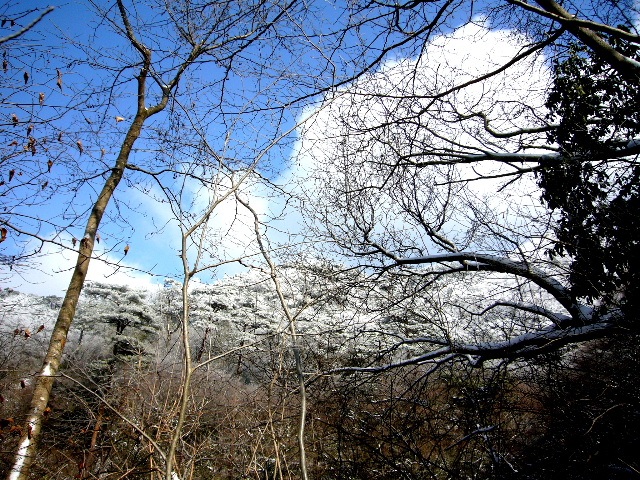d0075131_239985.jpg