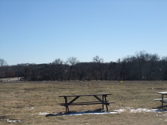 f0238932_1538596.jpg