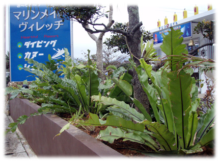 f0014842_16513010.jpg