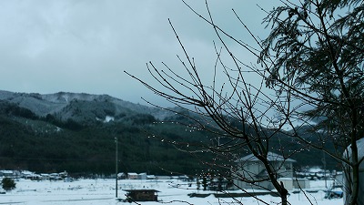 c0220047_9278.jpg