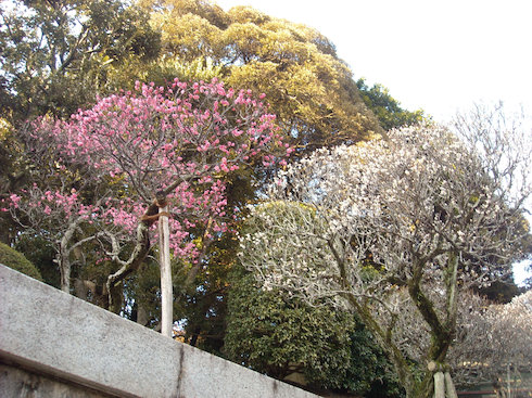 a0088456_22252156.jpg