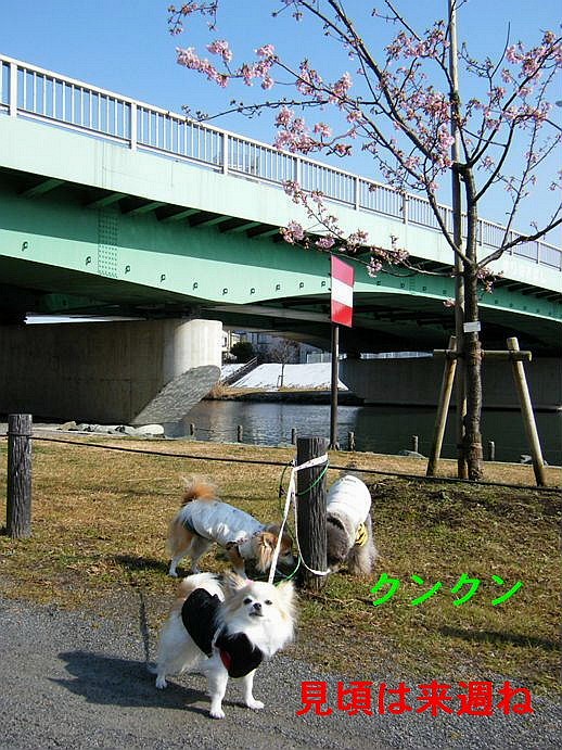 e0129656_23251382.jpg
