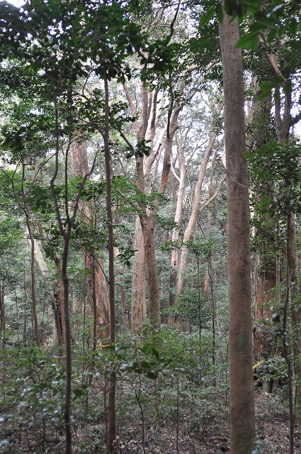 b0104861_196181.jpg