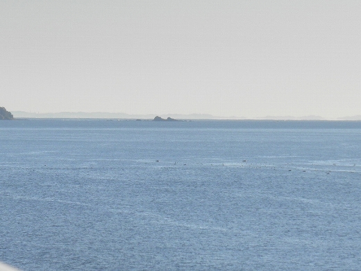b0145863_13172782.jpg