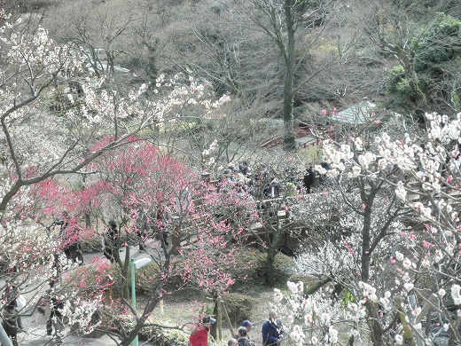 b0145863_1363565.jpg