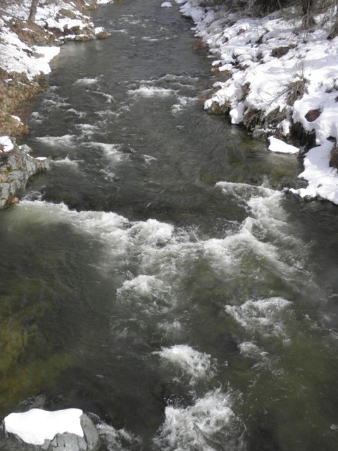 d0134473_16143935.jpg