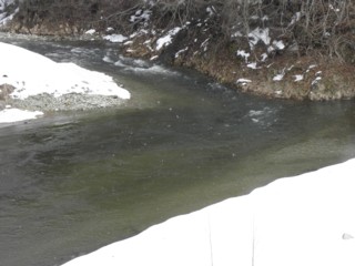 d0134473_16184719.jpg