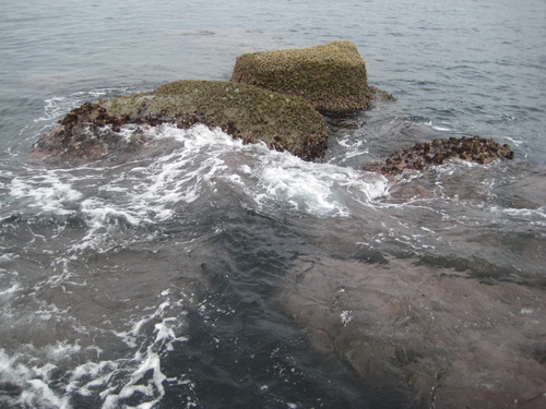 d0174683_2361149.jpg