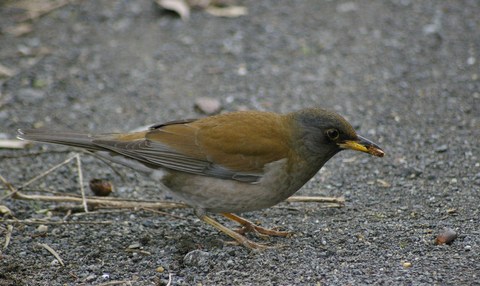 e0197884_19114419.jpg