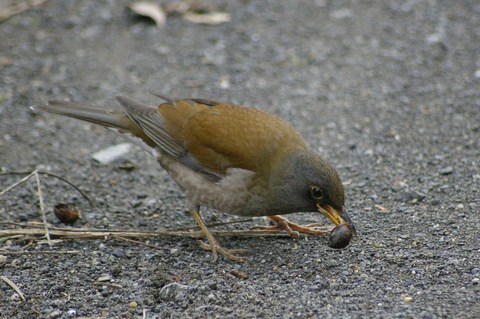 e0197884_19124462.jpg