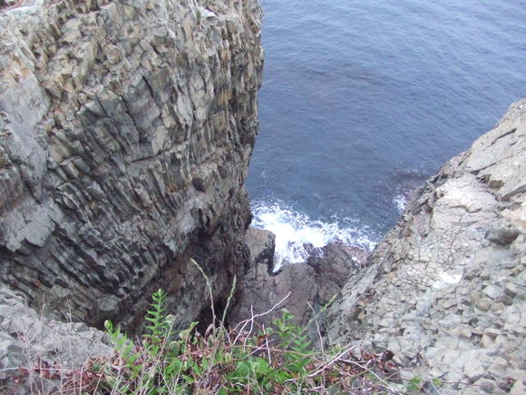 a0186689_23372910.jpg